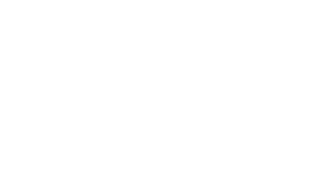 Armazém e Transporte Nacional Logo