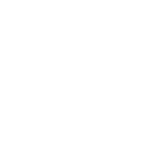 Agente de Carga Internacional e Despachante Aduaneiro Logo