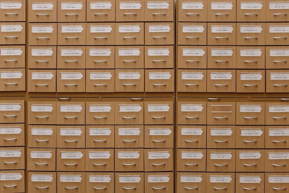 Catálogo de Produtos da DUIMP como estruturar corretamente