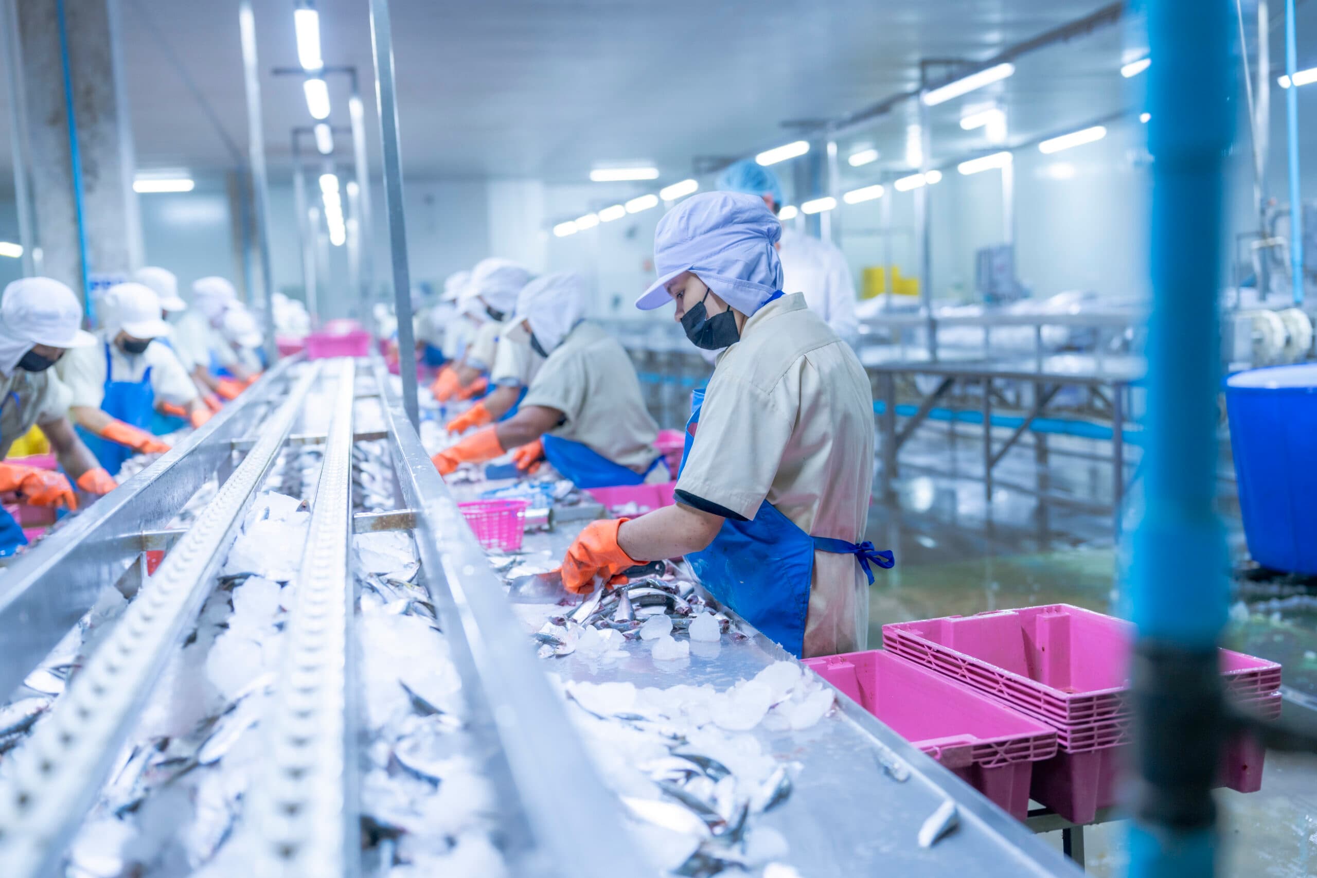 Fabrica white label: China é uma opção previsibilidade e segurança